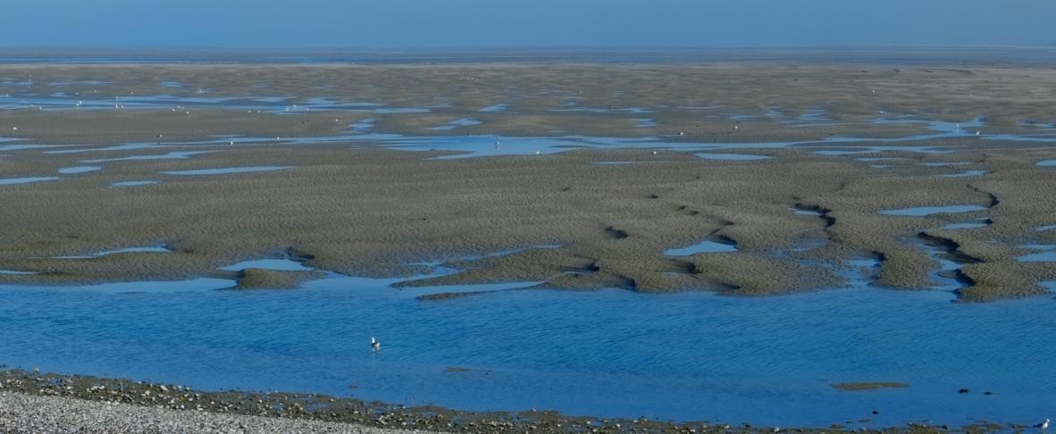 Le Hourdel, baie de Somme