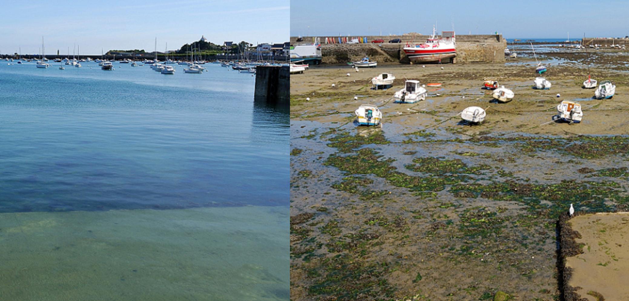 Marnage à Roscoff, marée coefficient 107